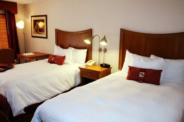 Hampton Inn Chapel Hill Rum bild